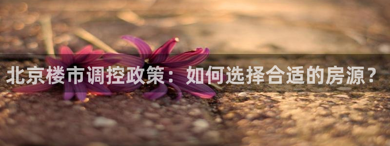 新宝5怎么代理：北京楼市调控政策：如何选择合适的房源？