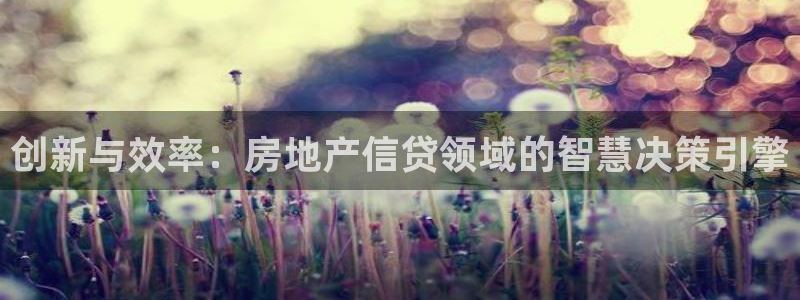 新宝5首页：创新与效率：房地产信贷领域的智慧决策引擎