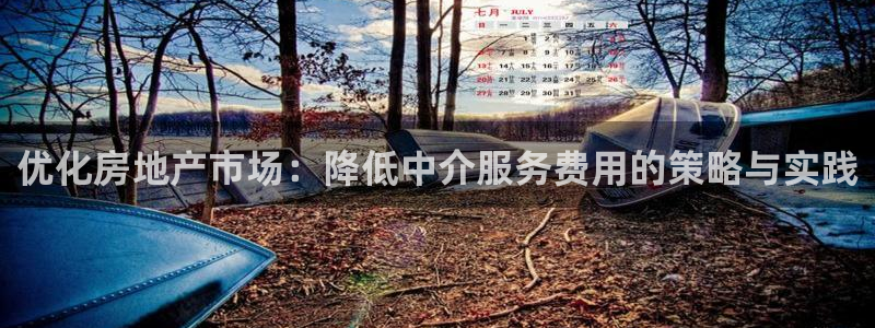 新宝5得74OOO5：优化房地产市场：降低中介服务费用的策略