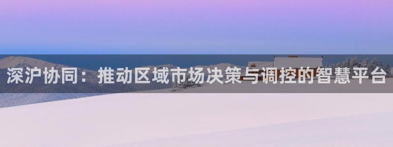 新宝5娱乐代理：深沪协同：推动区域市场决策与调控的智慧平台
