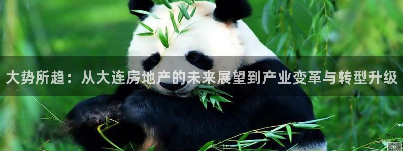 新宝5登录：大势所趋：从大连房地产的未来展望到产业变革与转型