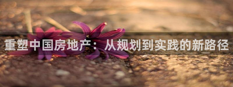 新宝5注册首页：重塑中国房地产：从规划到实践的新路径