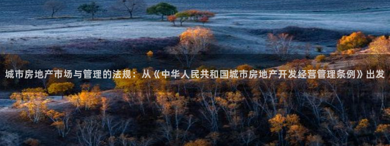 新宝5招商：城市房地产市场与管理的法规：从《中华人民共和国城