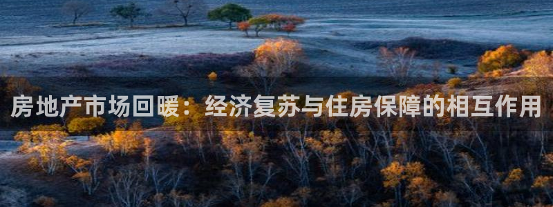 新宝5登陆地址：房地产市场回暖：经济复苏与住房保障的相互作用