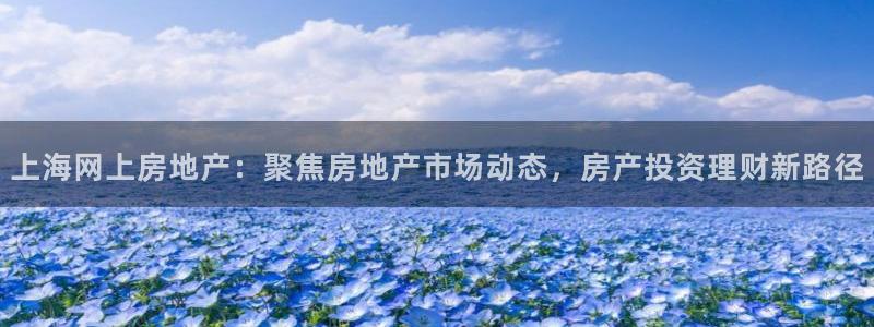 新宝5分彩：上海网上房地产：聚焦房地产市场动态，房产投资理财