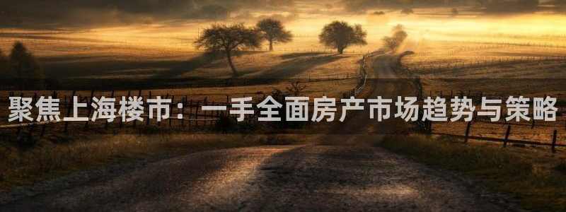 新宝5可靠吗：聚焦上海楼市：一手全面房产市场趋势与策略