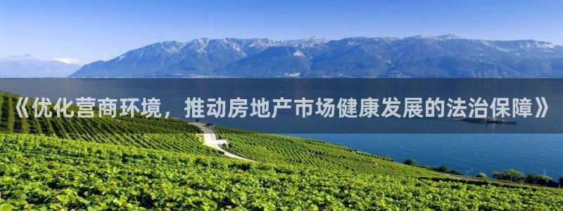 新宝5安卓版：《优化营商环境，推动房地产市场健康发展的法治保