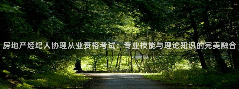 新宝5挂机软件：房地产经纪人协理从业资格考试：专业技能与理论