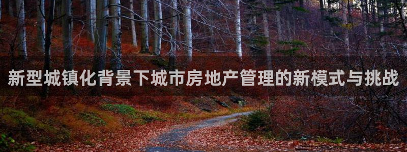 新宝5挂机：新型城镇化背景下城市房地产管理的新模式与挑战