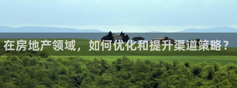 新宝5新宝6顺达：在房地产领域，如何优化和提升渠道策略？