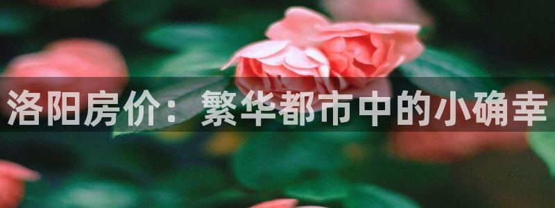 新宝xb5：洛阳房价：繁华都市中的小确幸