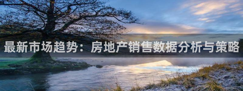 新宝5源码：最新市场趋势：房地产销售数据分析与策略
