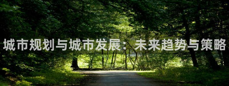 新宝rc_5w：城市规划与城市发展：未来趋势与策略