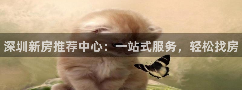 新宝集团新宝5：深圳新房推荐中心：一站式服务，轻松找房