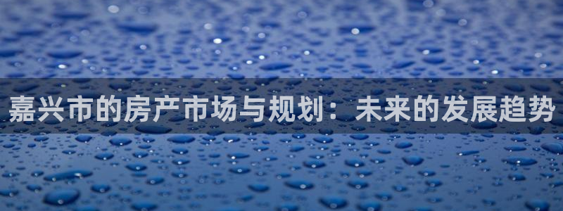 新宝5账号注册：嘉兴市的房产市场与规划：未来的发展趋势