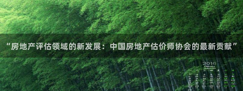 新宝注5册：“房地产评估领域的新发展：中国房地产估价师协会的
