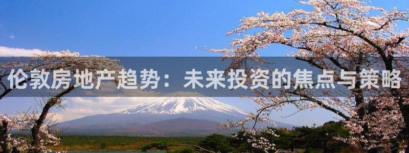 新宝5电脑：伦敦房地产趋势：未来投资的焦点与策略