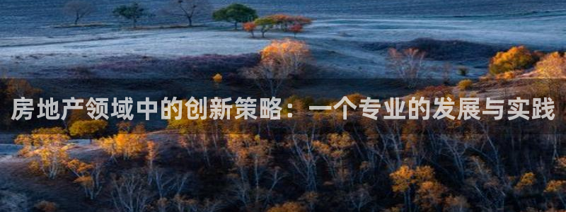 新宝5招商部：房地产领域中的创新策略：一个专业的发展与实践