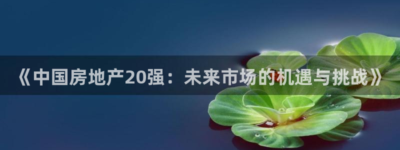 新宝5台卡：《中国房地产20强：未来市场的机遇与挑战》
