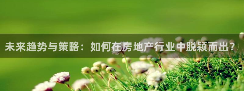 新宝5娱乐学：未来趋势与策略：如何在房地产行业中脱颖而出？