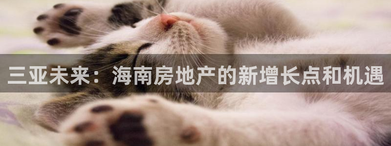 新宝5娱乐招商：三亚未来：海南房地产的新增长点和机遇