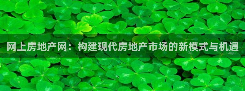 新宝5平台注册公司：网上房地产网：构建现代房地产市场的新模式