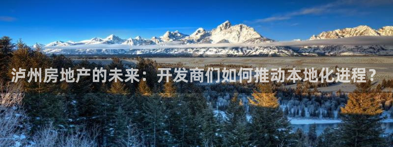 i新宝5：泸州房地产的未来：开发商们如何推动本地化进程？