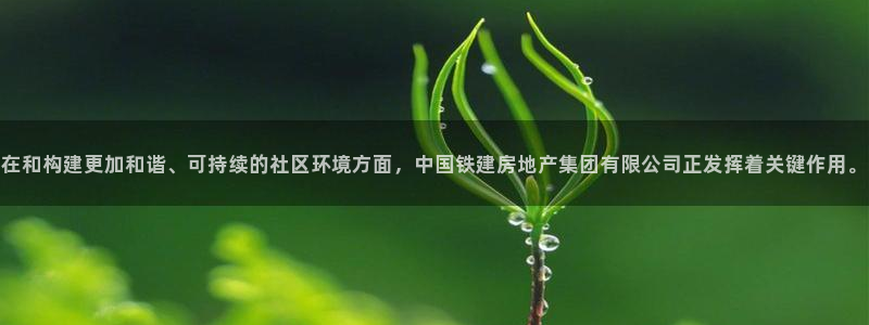 新宝股东瞧听2 5 5：在和构建更加和谐、可持续的社区环境方