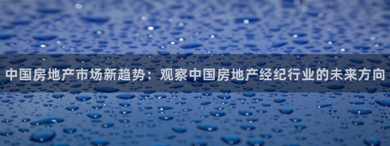 新宝5开好：中国房地产市场新趋势：观察中国房地产经纪行业的未