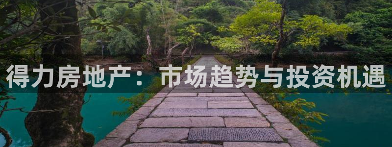 新宝5黑：得力房地产：市场趋势与投资机遇