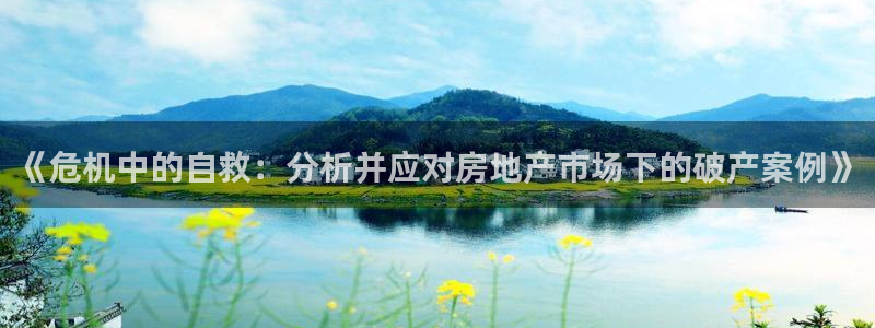 新宝5日：《危机中的自救：分析并应对房地产市场下的破产案例》