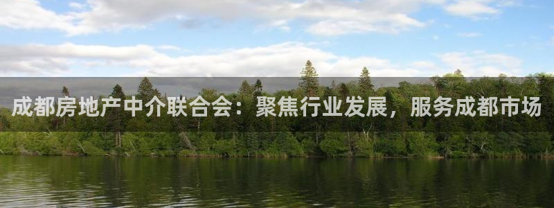 新宝5 唯一：成都房地产中介联合会：聚焦行业发展，服务成都市
