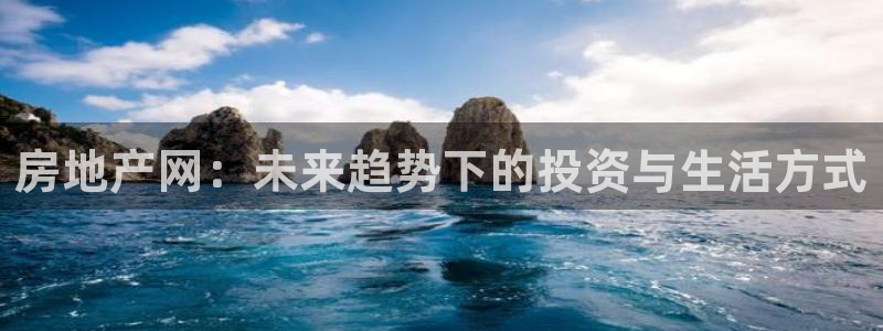 新宝b2O5O5O：房地产网：未来趋势下的投资与生活方式