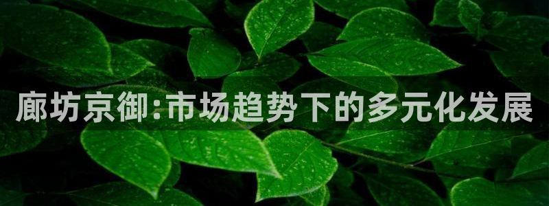 新宝5找找74OOO5：廊坊京御:市场趋势下的多元化发展