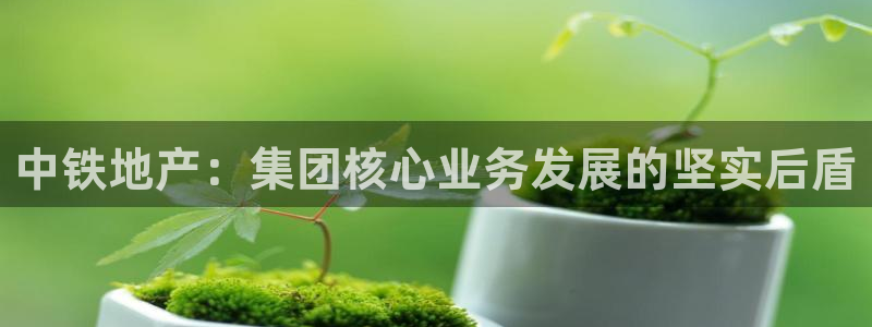 新宝rm5：中铁地产：集团核心业务发展的坚实后盾