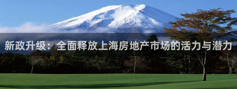 新宝5黑：新政升级：全面释放上海房地产市场的活力与潜力