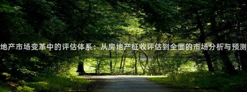 新宝5后：地产市场变革中的评估体系：从房地产征收评估到全面的