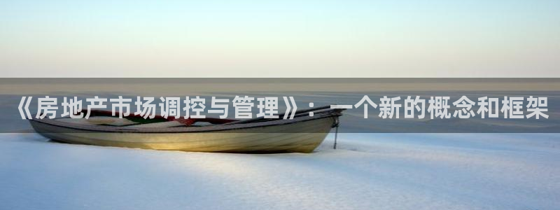 新宝5娱乐如：《房地产市场调控与管理》：一个新的概念和框架