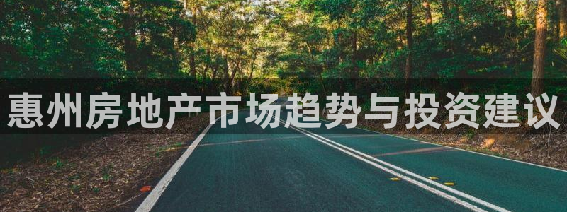 新宝5骗术：惠州房地产市场趋势与投资建议