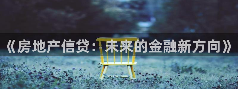 新宝5_测：《房地产信贷：未来的金融新方向》