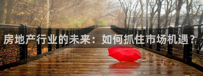 新宝5可靠吗：房地产行业的未来：如何抓住市场机遇？