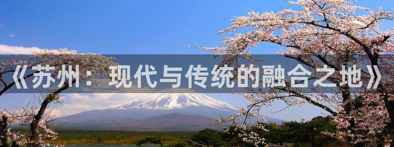 新宝5王问74OOO5：《苏州：现代与传统的融合之地》