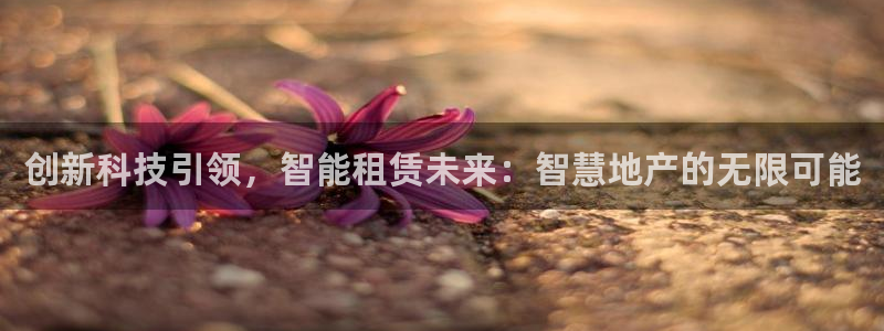 新宝5网：创新科技引领，智能租赁未来：智慧地产的无限可能