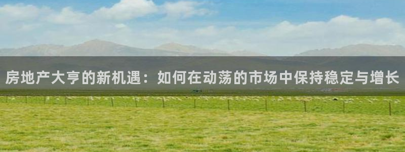 新宝5登录地址：房地产大亨的新机遇：如何在动荡的市场中保持稳