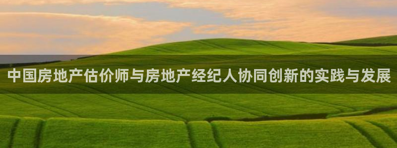 新宝5天：中国房地产估价师与房地产经纪人协同创新的实践与发展