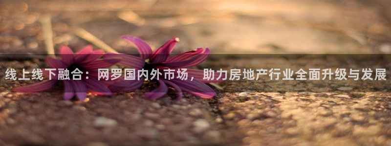 新宝5平台咋样：线上线下融合：网罗国内外市场，助力房地产行业