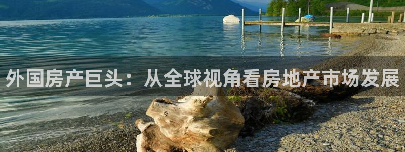 新宝5寂创33300散：外国房产巨头：从全球视角看房地产市场
