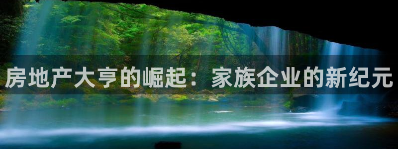 新宝5招商部：房地产大亨的崛起：家族企业的新纪元