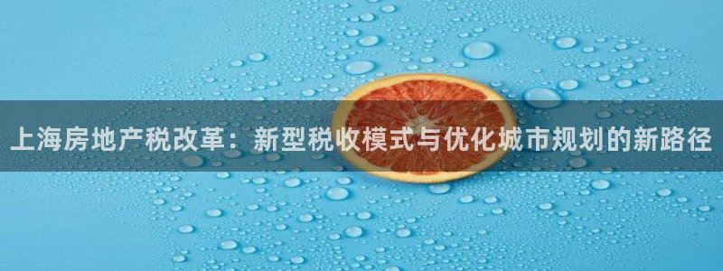 新宝5线路登录：上海房地产税改革：新型税收模式与优化城市规划