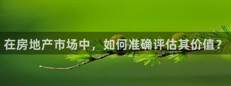新宝5黑彩：在房地产市场中，如何准确评估其价值？